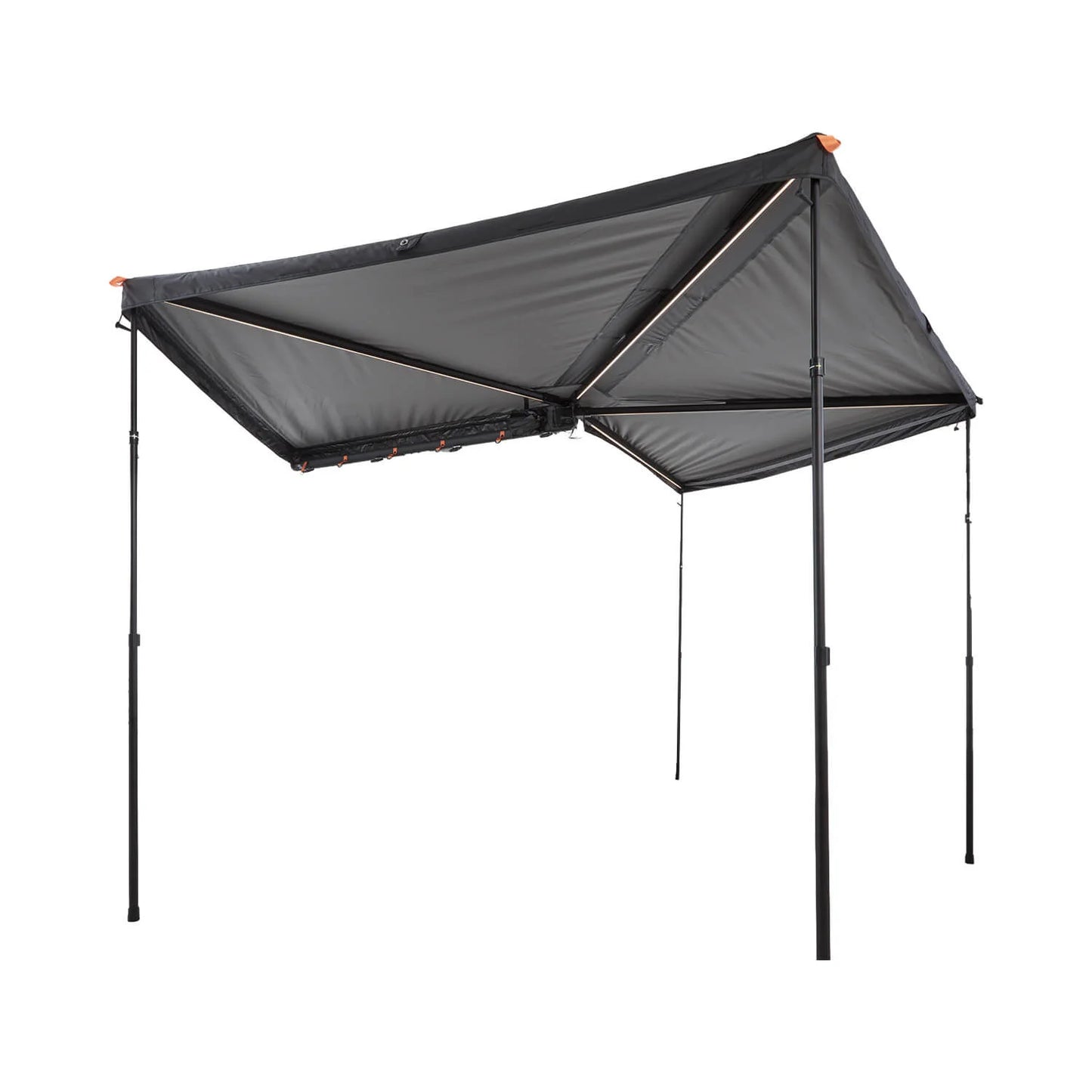 Vickywood Branch 270° Rugged