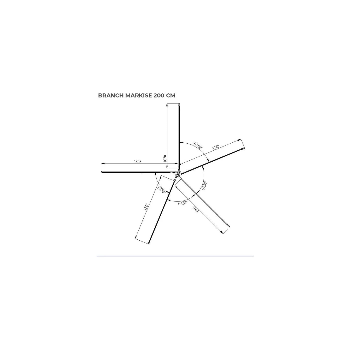 Vickywood Branch 270° Softcover